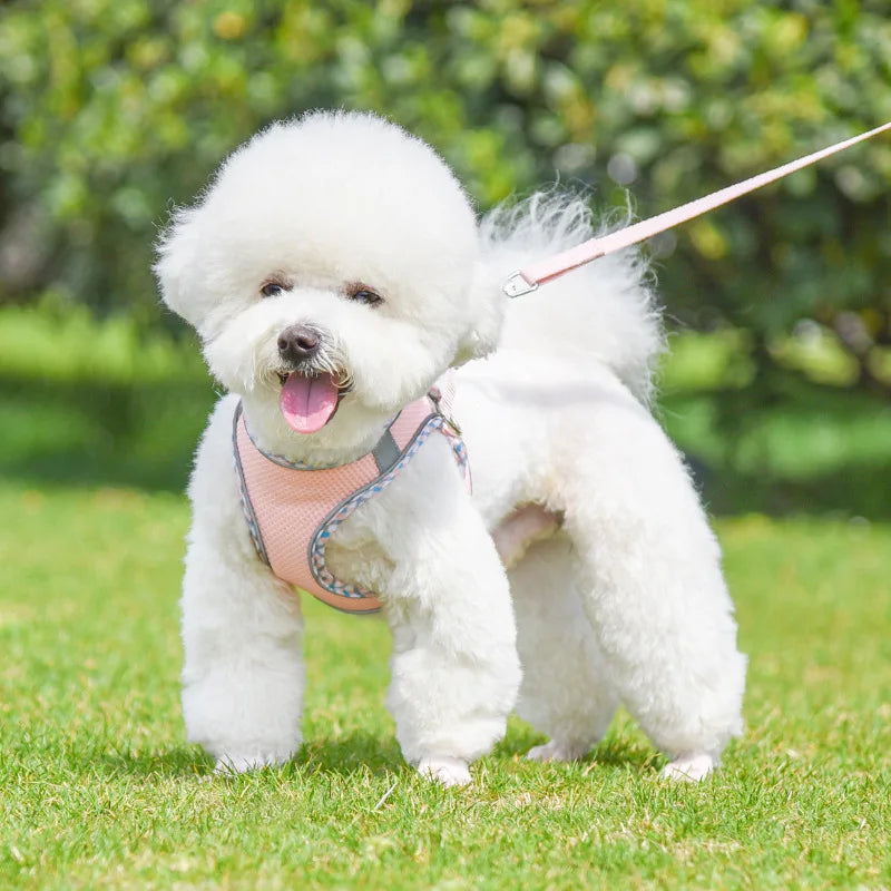 Reflective Pet Dog Harness and 1.5m Leash Set for Small Medium Dog Outdoor Walking Adjustable Cat Vest Harness Pet Supplies